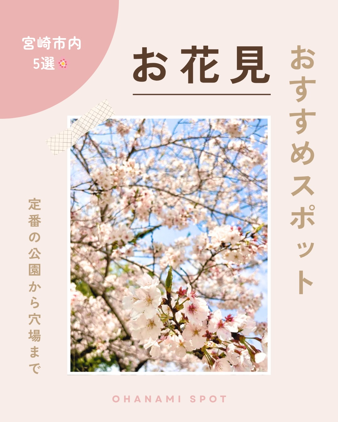 宮崎のお花見案内