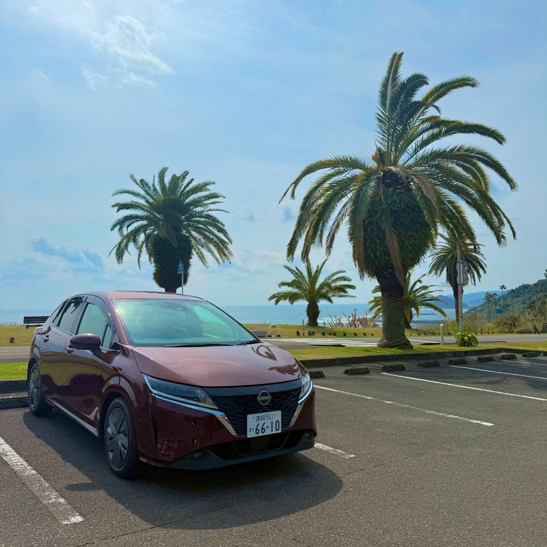 ヤシの木を背景にしたワンズレンタカーの実車